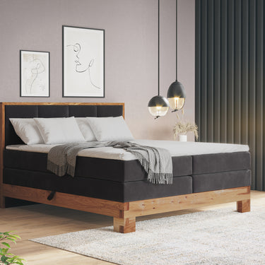 MAESTRO BAZA BAŞLIK